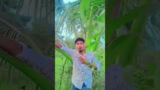 lx Nazmul official 