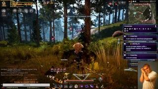 Black Desert Online прохождение квестов