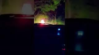 nazrey.. #shorts #viral #trending #ytshorts