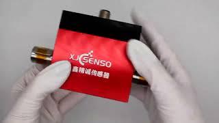 Dynamic Torque Sensor XJC-DN-2002