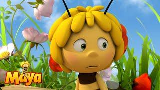 The Bee Dance - Part 1 - Maya the Bee 