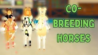 *CO-BREEDING HORSES* with Jo and Evelyn! (Collab with @Jo-EvePlayzz) | Wild Horse Islands