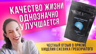 Ежевик (ежовик) гребенчатый. Отзыв на мицелий. Какие эффекты и когда начались.