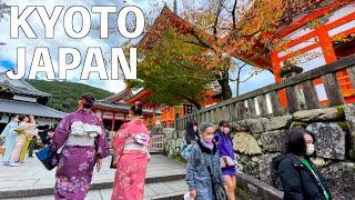 【4K】 Autumn Kyoto Walking Tour | JAPAN 2022