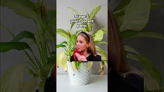 The 5 Stages of Plant Parenting 🪴 #plantlover #gardeningtips