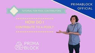 How to contribute to a pool on PrimaBlock (PrimaBlock Official)