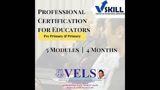 Professional Development Certification- VSKILL