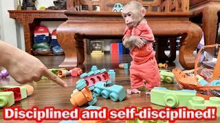 Lala is taught to be self disciplined and responsible in cleaning up toys after playing!