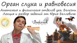 Орган слуха и равновесия. Отделы уха. Болезни. Лекция и разбор заданий от Юрия Беллевича