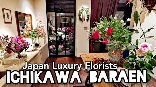 GINZA Maison Boutique LUXURY ROSES Japanese Breeder KEIICHI ICHIKAWA ROSE GARDEN Shizuoka 市川バラ園作出 イヴ