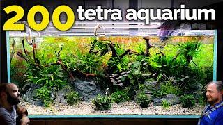 The Tetra Jungle Aquarium: EPIC 4ft 200 Fish Tank (Aquascape Tutorial)