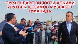 СУРХОНДАРЁ ВИЛОЯТИ ҲОКИМИ УЛУҒБЕК ҚОСИМОВ МУЗРАБОТ ТУМАНИДА.