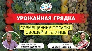 СОВМЕЩЕННЫЕ ПОСАДКИ ОВОЩЕЙ В ТЕПЛИЦЕ