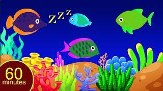 Bedtime Lullabies and Calming Undersea Animation Baby Lullaby#Baby sleep music stv#10