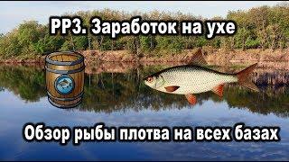 РР3. Заработок на ухе. Плотва. Обзор на всех базах.