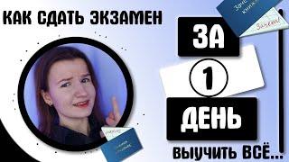 КАК ПОДГОТОВИТЬСЯ К ЭКЗАМЕНУ ЗА 1 ДЕНЬ | РЕАЛЬНЫЙ КЕЙС| СДАТЬ ЭКЗАМЕН ЗА ОДИН ДЕНЬ | СЕССИЯ \ ЕГЭ