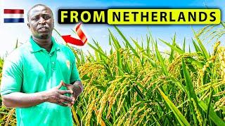 He Left the Netherlands to Make a Difference in Gambia's Rice Fields