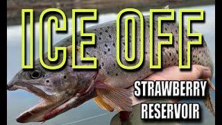ICE OFF Strawberry Reservoir 2025 (SHORE FISHING!!!)
