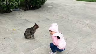 BabyGul with cats