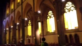 St Patrick's cathedral Melbourne