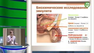 Божедомов В А - Исследование эякулята: современные требования к лабораторной диагностике и клиниче