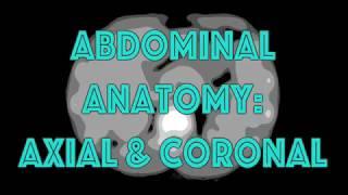 Anatomy Tutorial: Abdomen | Radiology Nation