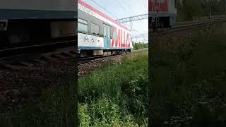 ЭГ2ТВ Иволга 1.0 #рекомендации #train #railway #мцд #эг2тв #иволга #мцд2