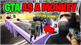 Best of MONKEY TROLLING The ENTIRE Server on GTA RP