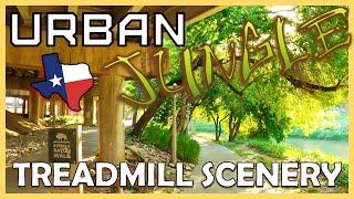 Treadmill Workout Scenery | Virtual Running Videos for Treadmill | Urban Jungle | 1 Hour Virtual Run