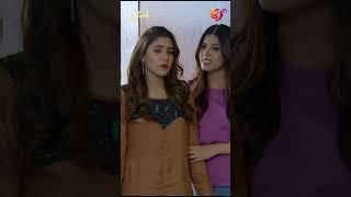 Hum wo nahin jo maidan chor kar bhag jaen| Hostel | Episode 04 | Best Scene | Link in Bio | AAN TV