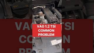 VAG TSI Engine Common Problem. #volkswagen #timingchain #noisyengine #carrepair