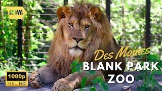 Iowa Travel Guide: Is Blank Park Zoo Des Moines Iowa’s Best Attraction? 