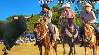 JARIPEO DE TOROS BRAVOS BUSCA CABALLOS! SAN PEDRO PURUATIRO MICH. 2024 CHAGO COMANCHE PAJARO HILARIO