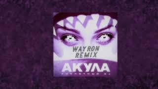 Акула - Кислотный DJ( WAYRON REMIX)