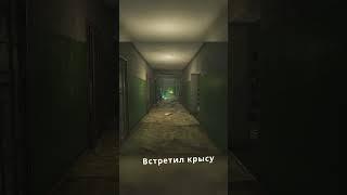 Escape from Tarkov Подстава  #escape #propanbi4 #arena