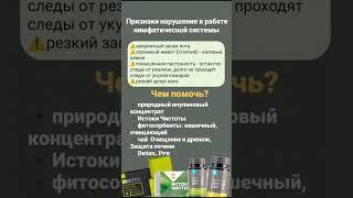 Признаки в работе лимфатической системы. Сибирское здоровье.