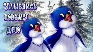 Улыбнись новому дню