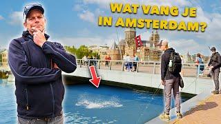 Dit zijn de beste STEKKEN in AMSTERDAM - STREETFISHING met een TWIST