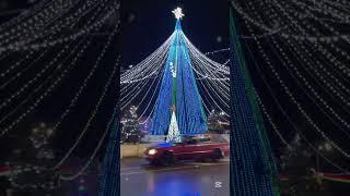 Новый 2025 год в г. Гомель. 1 января, елка, ТВ вышка и украшение города