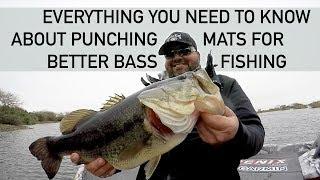 MASTER CLASS on Punching Mats for Bass with Greg Hackney