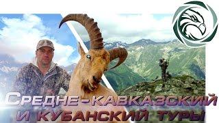 ГОРНАЯ ОХОТА НА СРЕДНЕ-КАВКАЗСКОГО И КУБАНСКОГО ТУРА (Mid Caucasian Tur hunting)