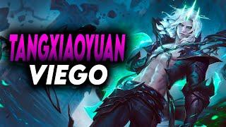 [汤小圆] Tangxiaoyuan Viego vs Ekko - CN super server Challenger