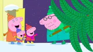 Getting Ready for Christmas!  Peppa Pig Full Episodes  Peppa Pig at Christmas