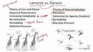 12.2.1 Darwin v. Lamarck