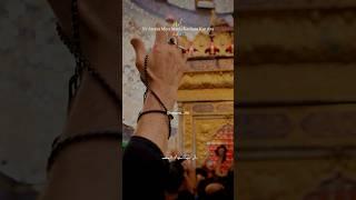 ️‍🩹Dream Karbals️‍🩹 ||#karbala ||#karbalastatus ||#maulaabbas