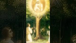 Divine Energies in Orthodox Christian Theology