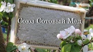 Союз Сотовый Мед