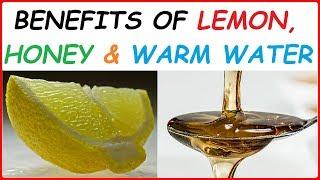 11 Benefits of Warm Water With Lemon and Honey in the Morning. Advantages & Biggest Reasons to Drink