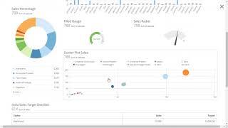 Domo Dashboard