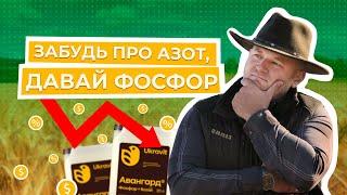 ОСІННІ ДОБРИВА В 2024 - ПРИБУТКОВІ ЧИ ЗБИТКОВІ?